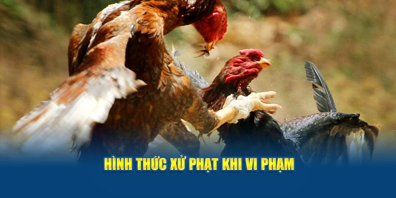 hinh-thuc-xu-phat-khi-vi-pham