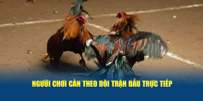 nguoi-choi-can-theo-doi-tran-dau-truc-tiep