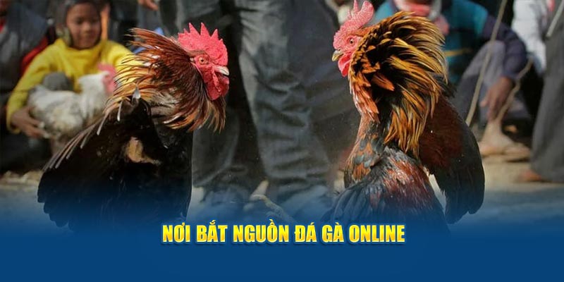 noi-bat-nguon-da-ga-online