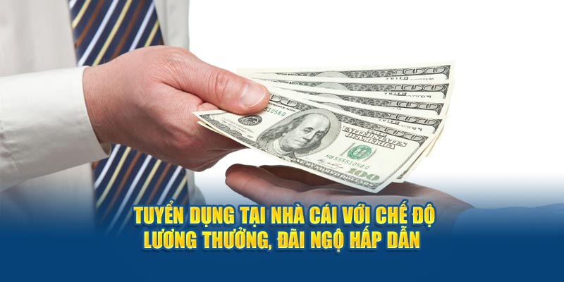 tuyen-dung-tai-nha-cai-voi-che-do-luong-thuong-dai-ngo-hap-dan